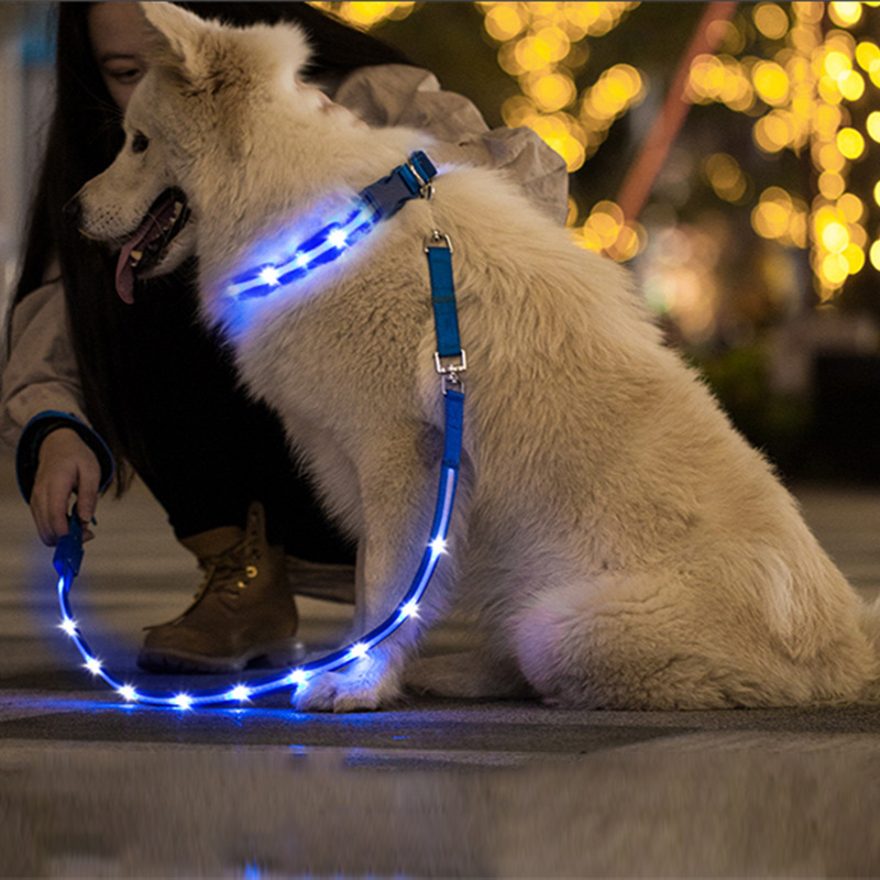 สายจูงสัตว์เลี้ยง LED ชาร์จ USB สว่างสวย สายจูงปลอดภัยสำหรับสุนัขและแมว สายจูงสัตว์เลี้ยงสุดเก๋ เพิ่มความน่ารักและความปลอดภัยในยามค่ำคืน