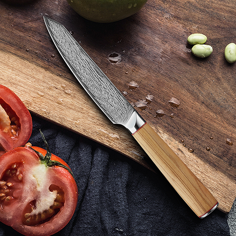 Title 4, Exquisite Household-grade Commercial Kitchen Knife