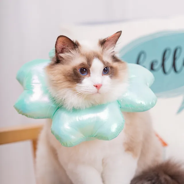 Sterilization Collar Waterproof Dog Pet Kitten Anti Licking Collar Green - Shop at LoveMi