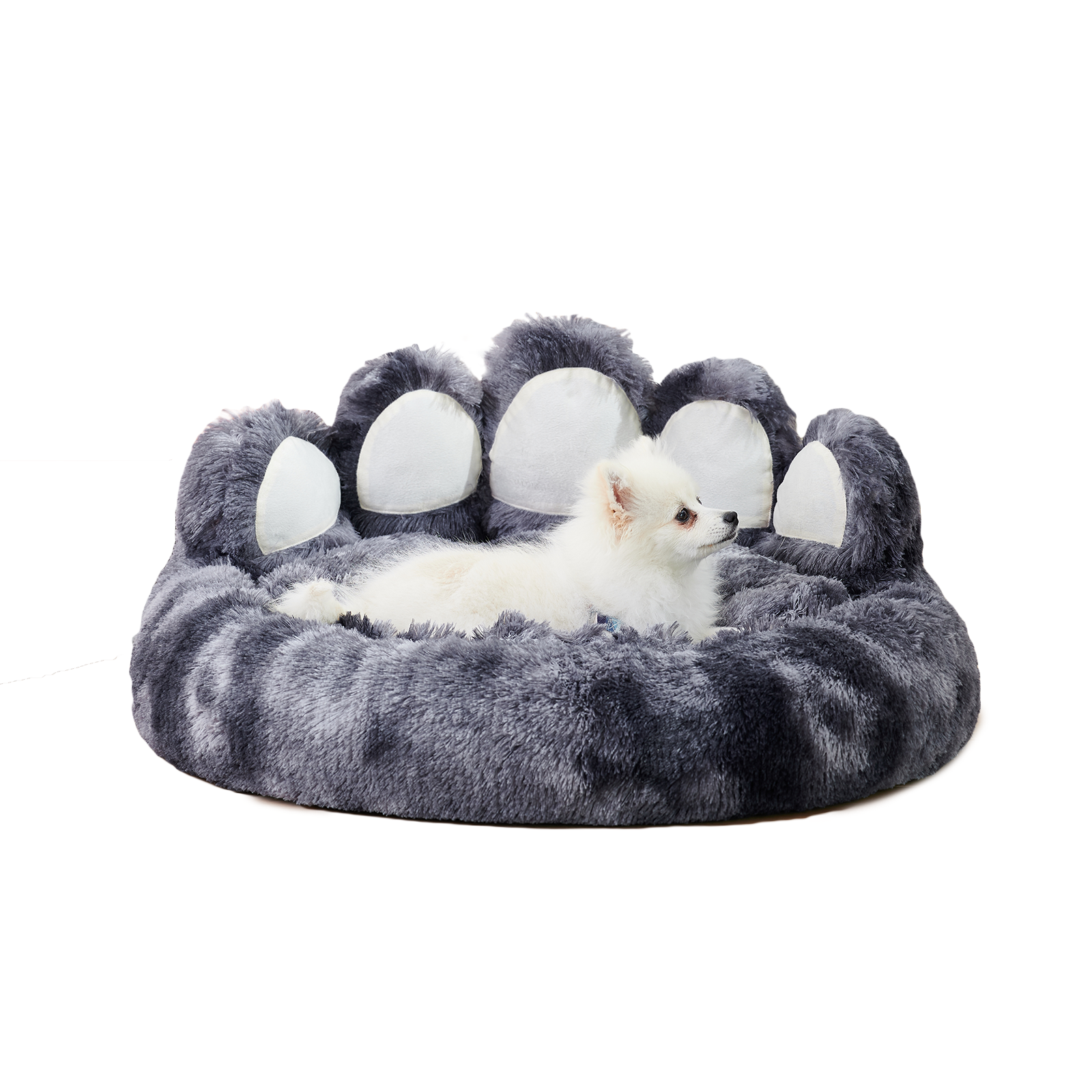 Cozy Bear Paw Dog Bed for Pets. Unique and Adorable Standing Bear Paw Design, Tailored for Small and Medium Dogs, Warm and Luxuriously Soft Comfort, Distinctive and Stylish Design, Versatile and Practical Pet Bed, Restoring Upright Shape After Unpacking.