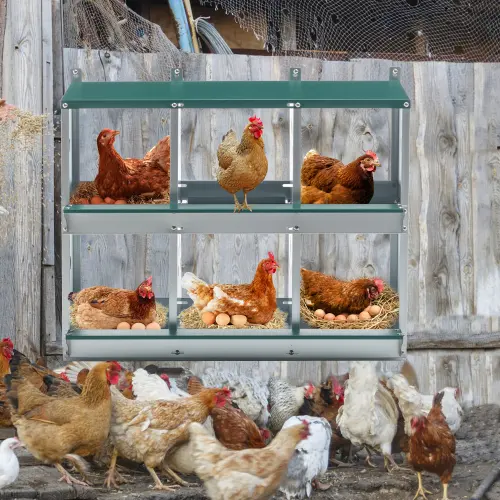 Chicken Nesting Box, 6 Room Metal Boxes