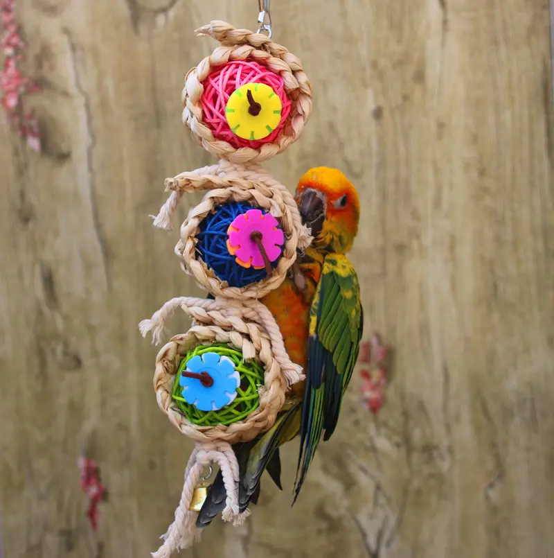 Parrot Supplies Pet Bird Toy Bite Ran