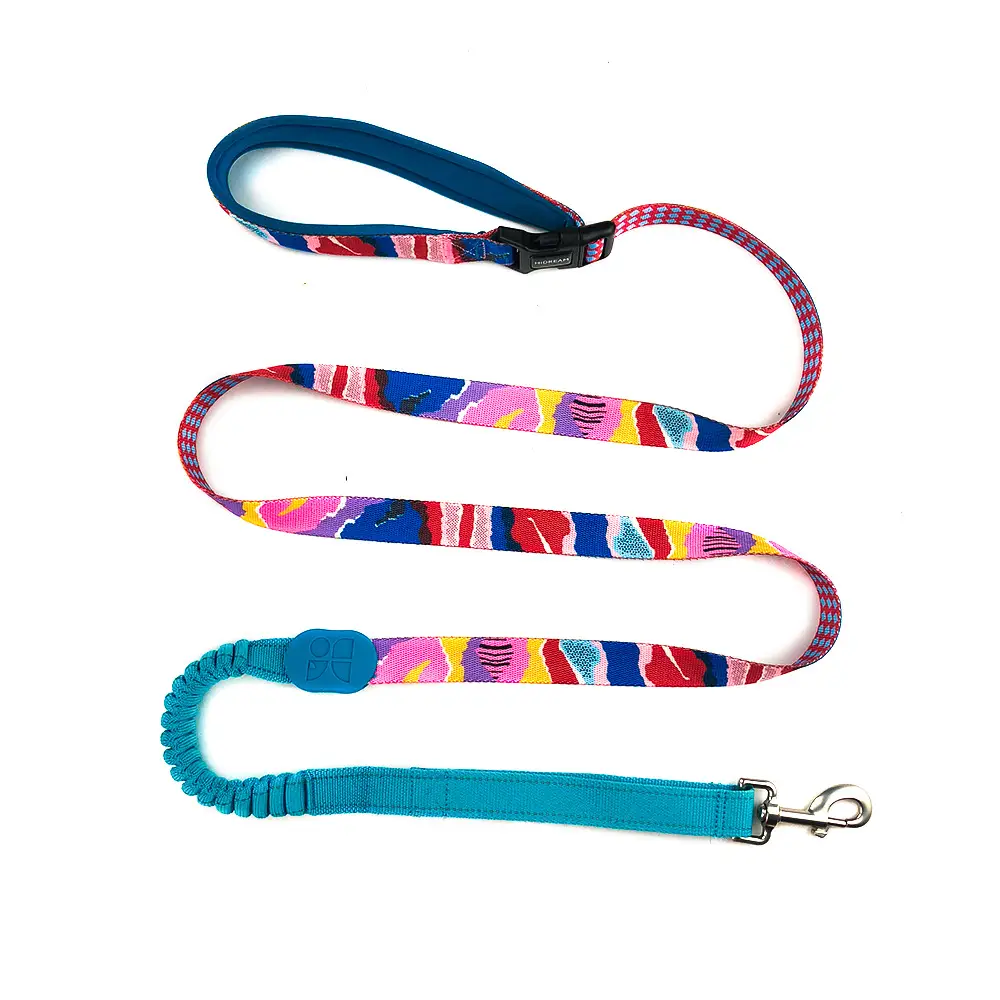 Multifunctional Buffer Traction Rope Pet Out Traction Walking Dog Rope
