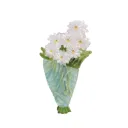 Daisies Bouquet