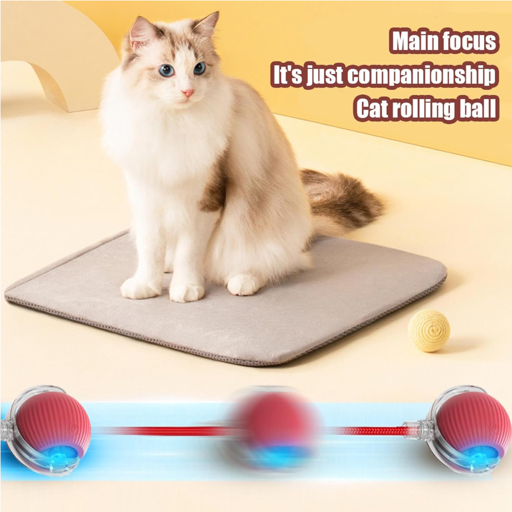 Interactive Rolling Cat Ball