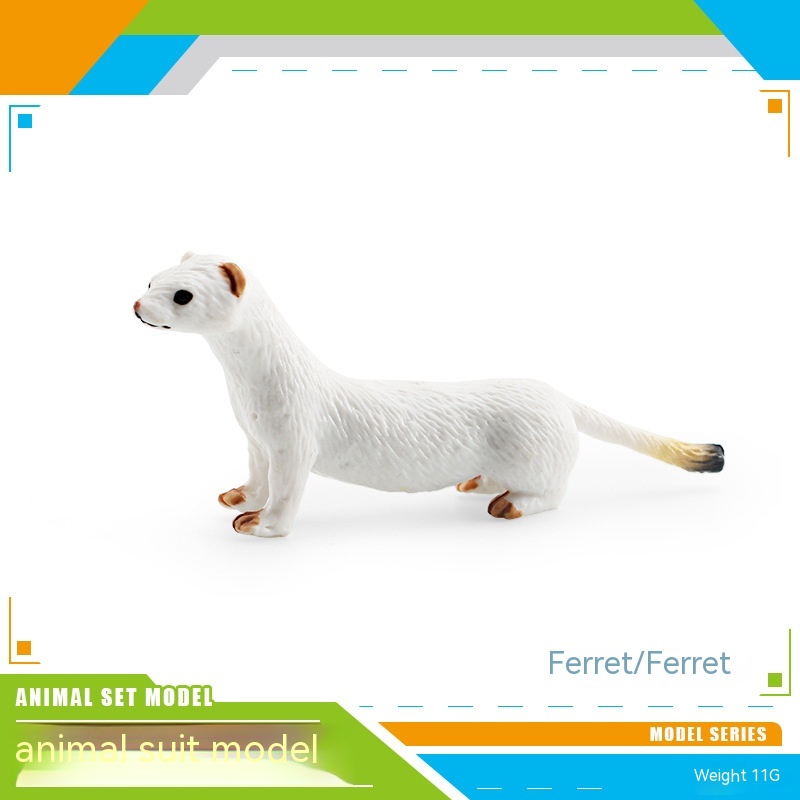 Ferret 11g