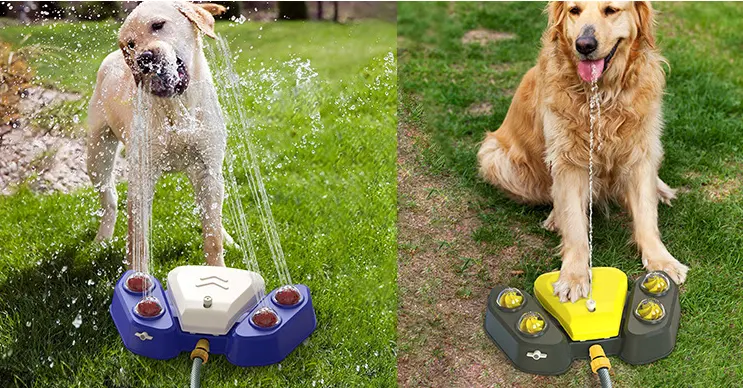 Amazon Selection Pets Cats And Dogs Smart