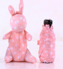 Pink Rabbit