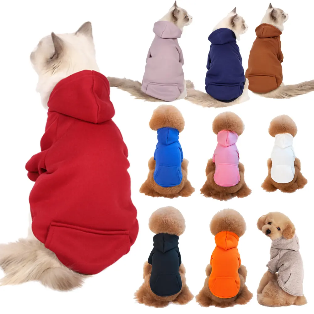 Small and Medium Sized Dogs Wearing Caps and Fleece