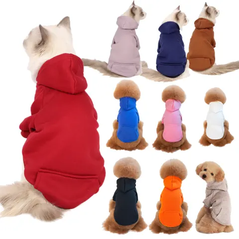 Small and Medium Sized Dogs Wearing Caps and Fleece