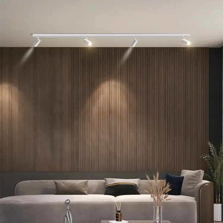 Commercial Guide Rail Ceiling Lighting