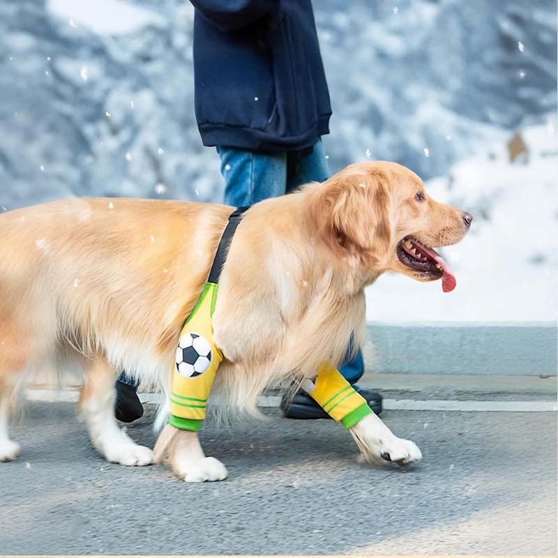 The Sleeves Of The Dog Rehabilitation Suit Are Wear-resistant, And The Flying Joints Protect The Ankle Joints During Surgery To Prevent Licking Injuries