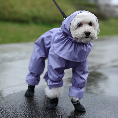 Title 1, Imperméable pour Chien Teddy Quatre Pattes Étan...