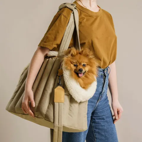 Pet Dog Cat Bag Carrier Light Waterproof Dog Out
