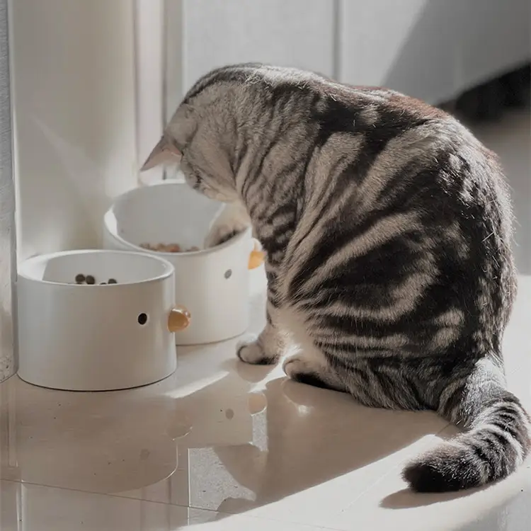 Ceramic Slanted Tall Pet Water Bowl