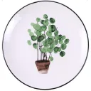 Round Coin Grass