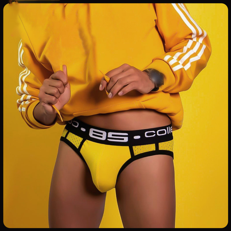 Men's Net Yarn Breathable Sports Triangle Briefs