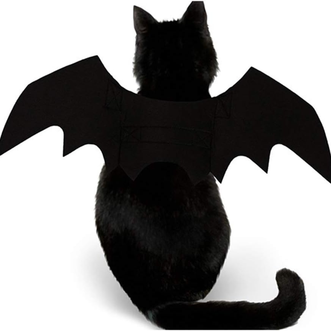Pet Cat Bat Wings For Halloween Party Decoration, Puppy Collar Leads Cosplay Bat Costume,Cute Puppy Cat Dress Up Accessories — foto 3