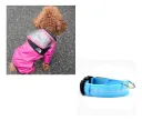 Pink With Blue