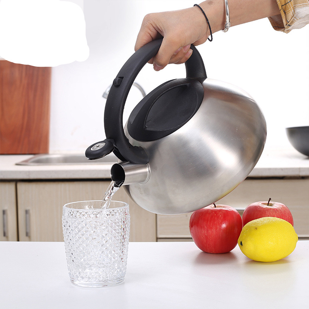 Title 2, Stainless Steel Whistle Kettle