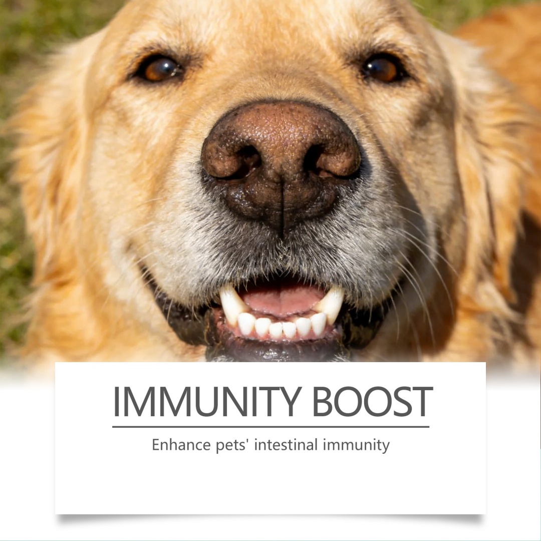 Dog Specific Breath Freshener Powder 3