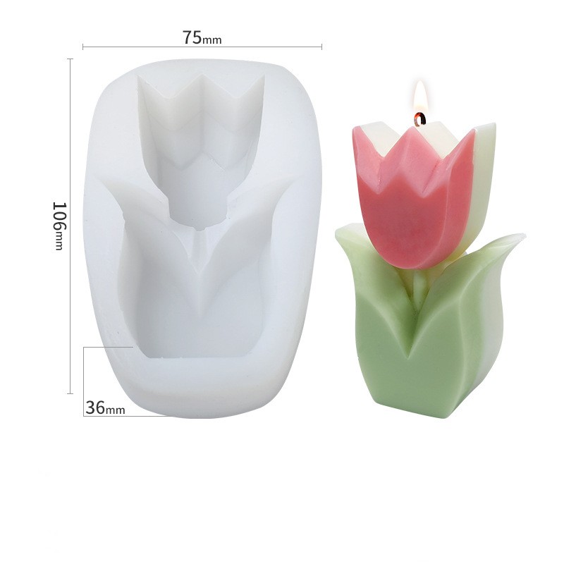 Tulip