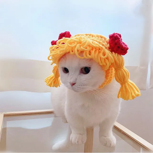 Pomeranian Teddy Dog Funny Cat Headgear Yellow - Shop at LoveMi