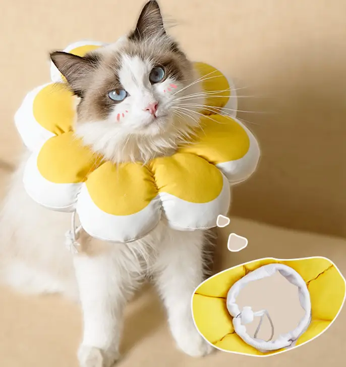 Anti-bite  Anti-licking, Waterproof Cat Soft Collar