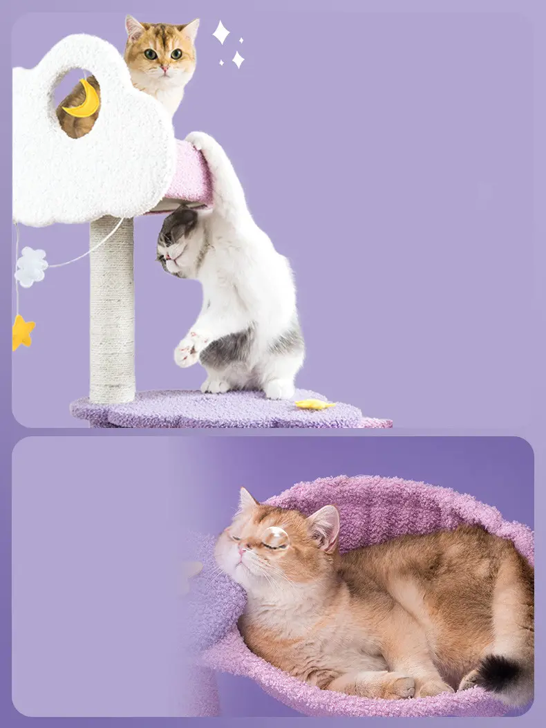 The Cat Climbing Frame Is One-piece Through the Sky