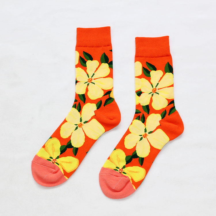 Title 3, Cotton socks painted with flowers and birds