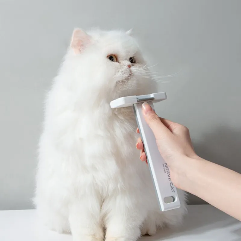 Floating Hair Removal Pet Grooming Cat