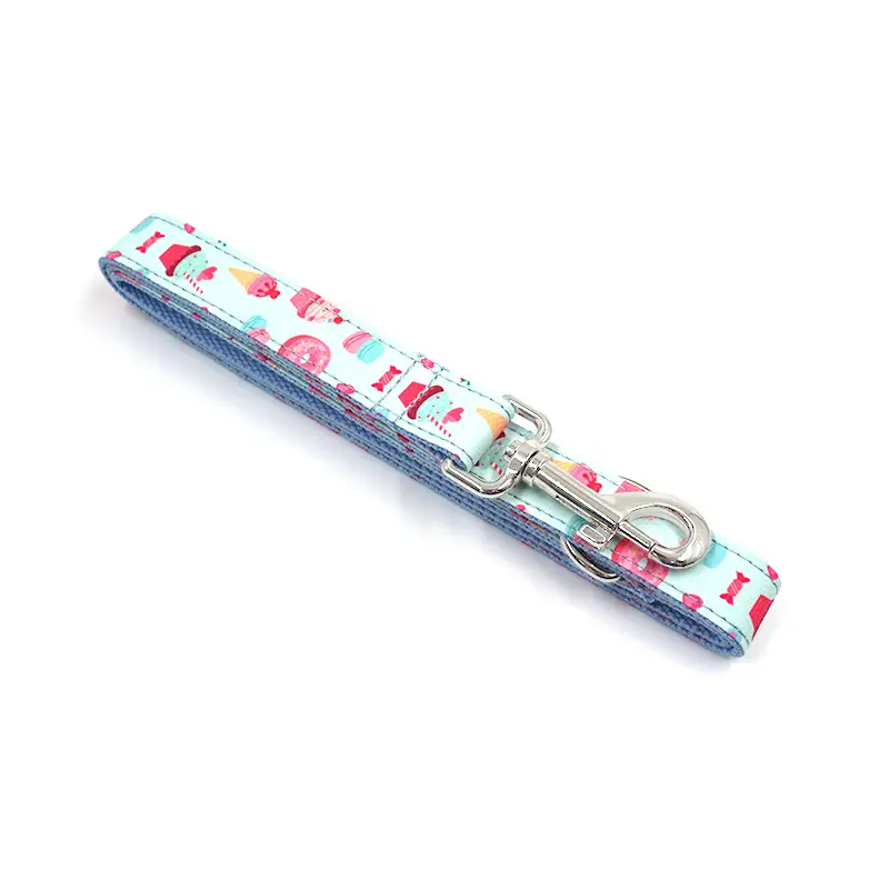 Cross Border Pet Collar Traction Rope Bow Set