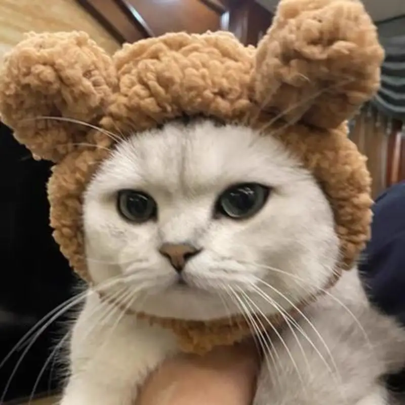 Pet Hat Bear Plush Hood Photo Headwear