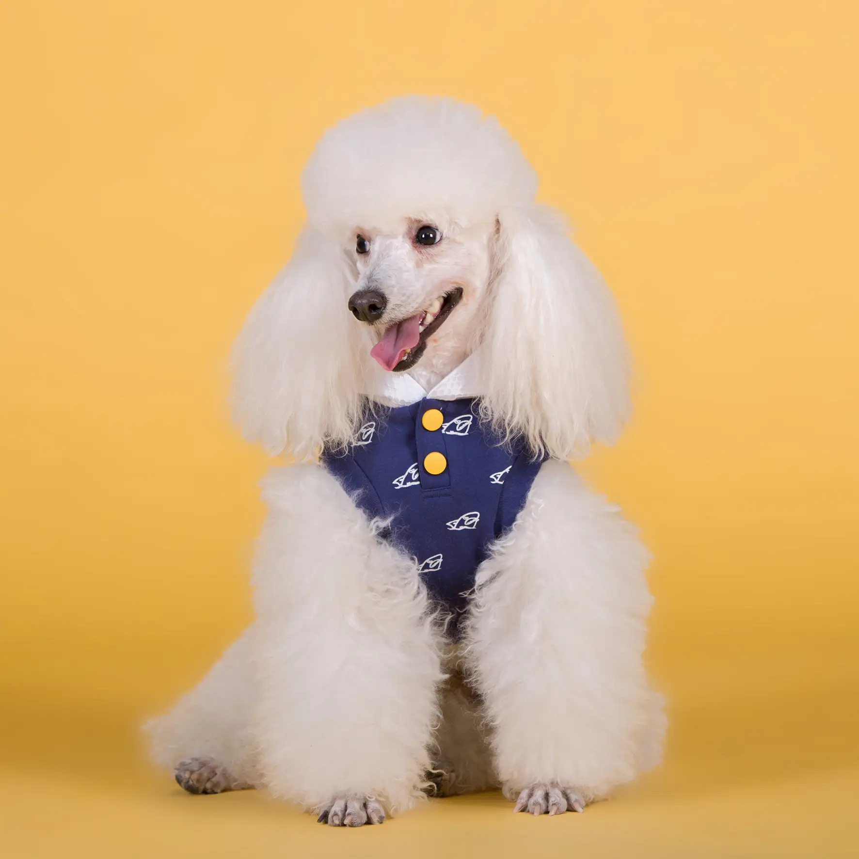 New Cotton Stretch Dog Clothes For Spring And Summer