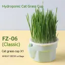 Cat Grass Cup Wheat Seeds