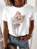 Tttxnz27-3Xl