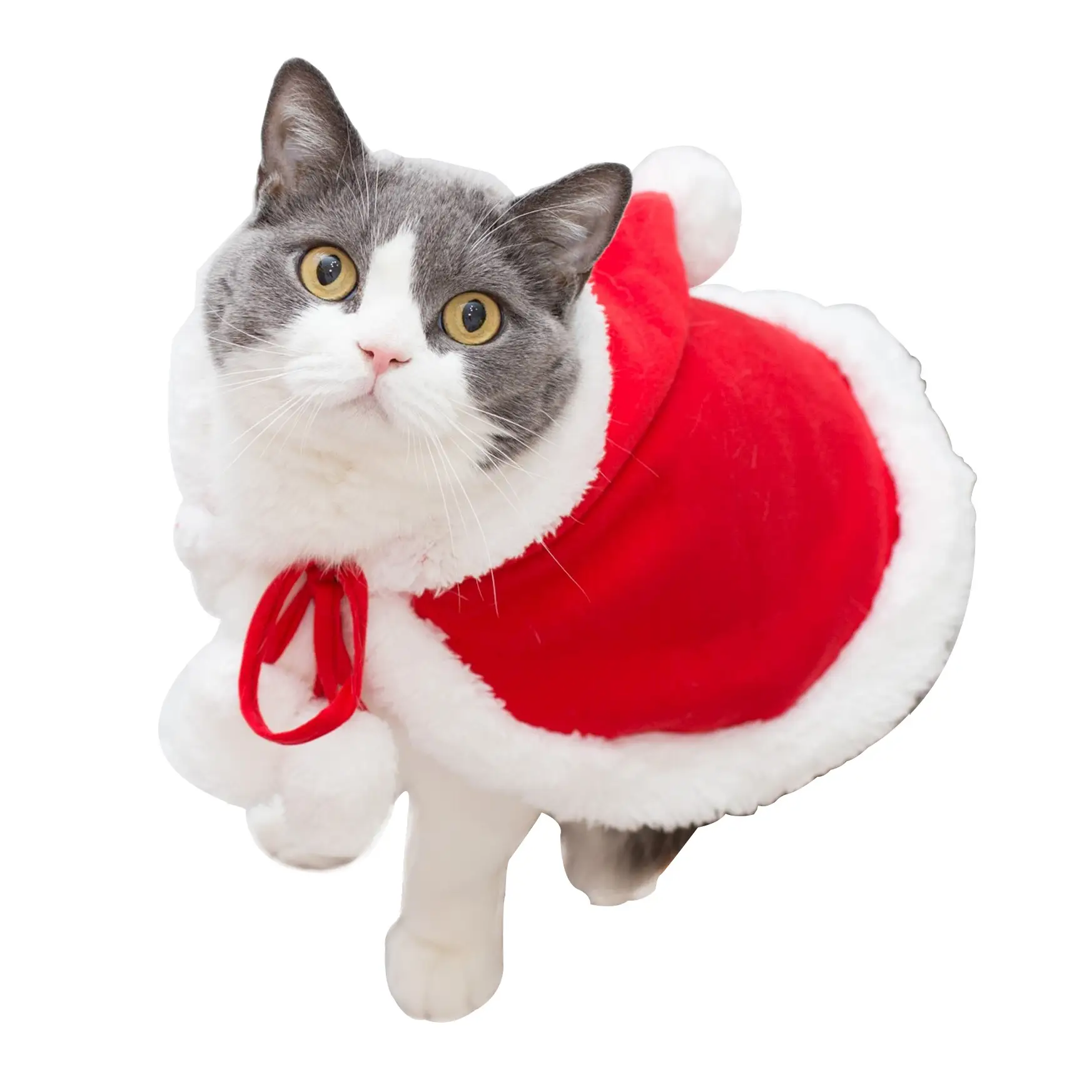 Christmas Little Red Riding Hood Cloak