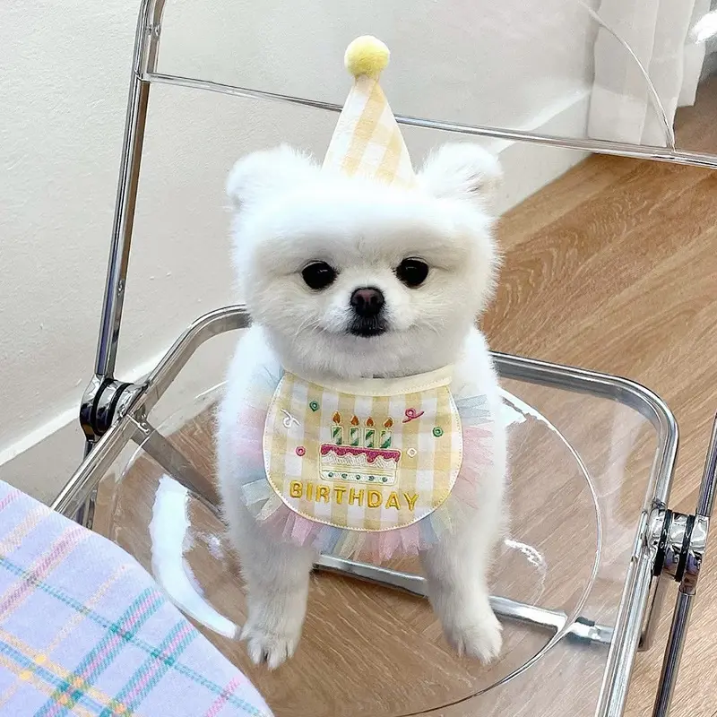 Dog Party Cake Bib Pet Birthday Saliva