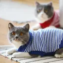 10Style