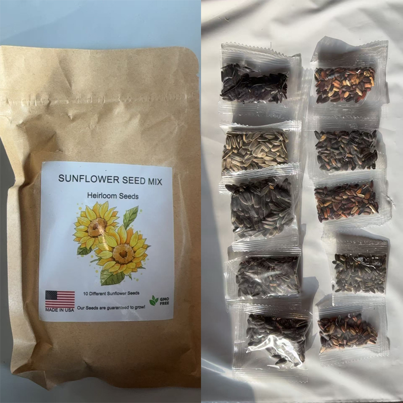 1000+ Sunflower Seeds for Planting Heirloom Non-Gmo, Bulk Package of 10