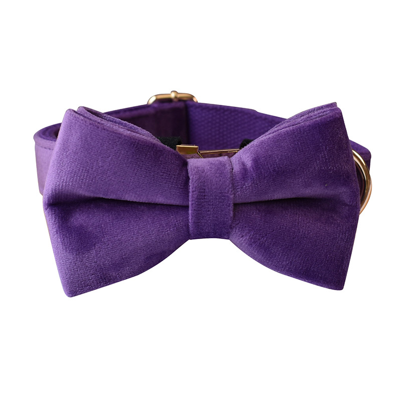 Bow dog collar