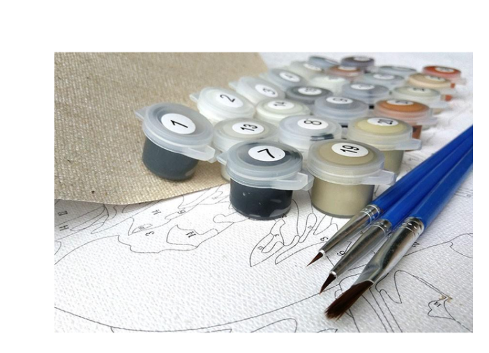 Silly Puppy - DIY Painting By Numbers Kit