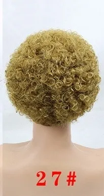 Explosive Head Female Short Curly Hair Temperament Microwave Whole Wig Color27 - Shop at LoveMi