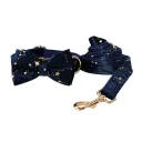 Bow Set