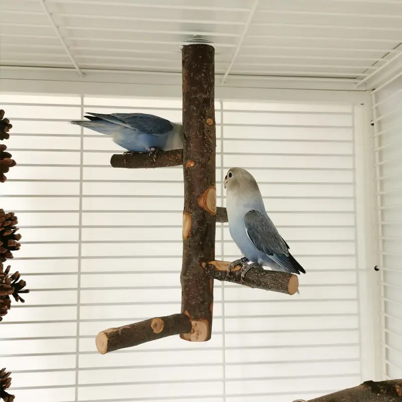 Parrot Bird Wood Stand Pole Toy