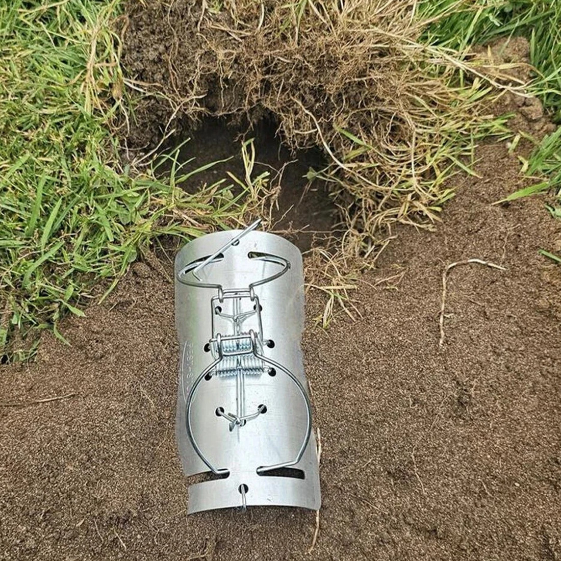 Pack Of 5 Tunnel Mole Trap Quick Kill Control Repellent Traps — image 4