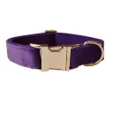 Dog Collar
