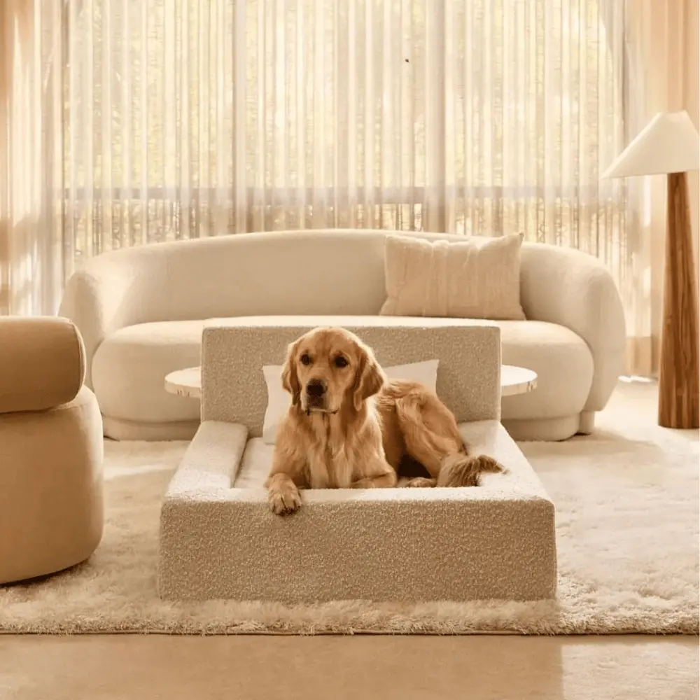 Dog Mat, Movable Rectangular Sponge Cat Bed
