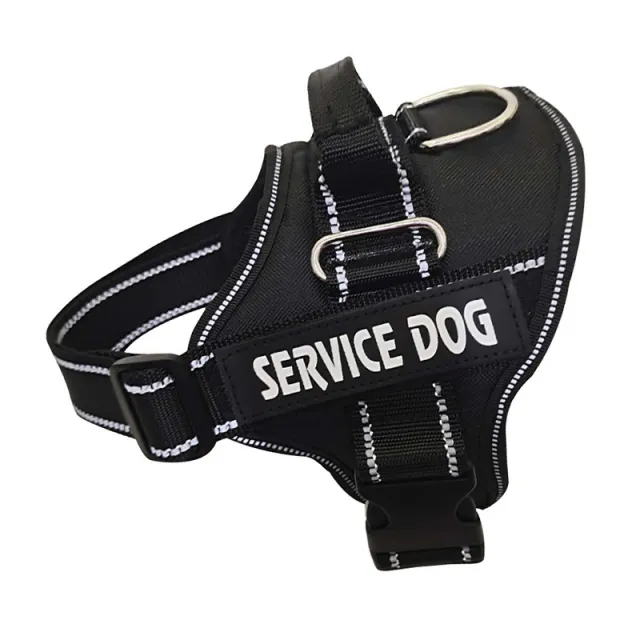 Personalization Of Pet Chest Strap Products Black - Shop at LoveMi