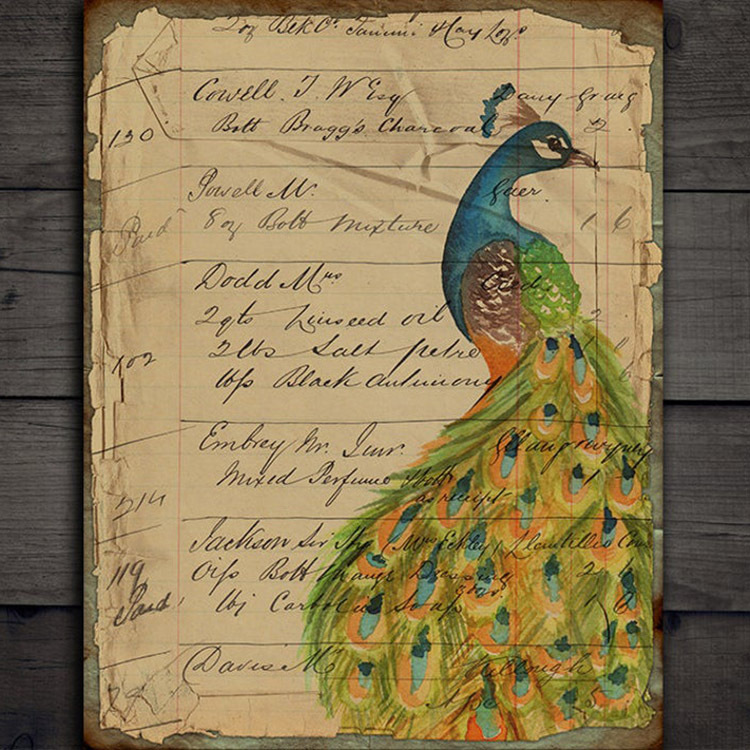 Background Paper Peacock Plant Vintage Hand Account Material Stickers